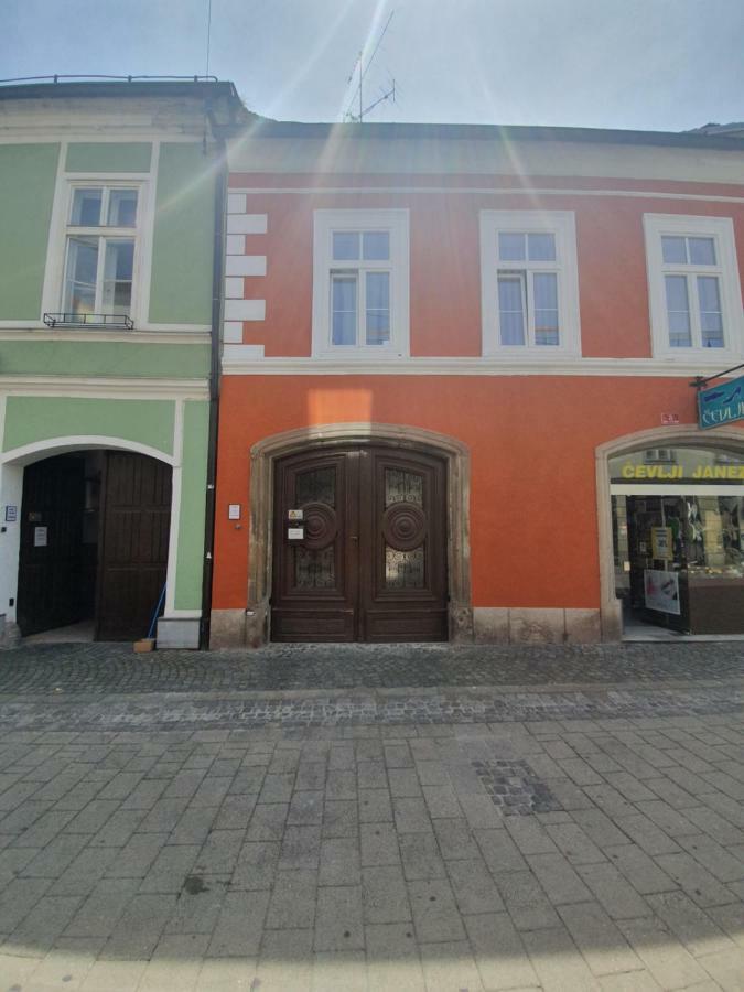 Minidorm Rooms In Heart Of City Center Марибор Экстерьер фото
